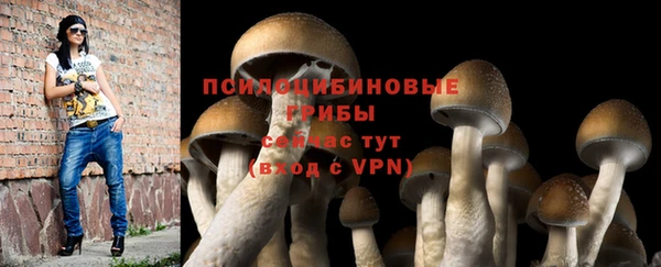 мескалин Абаза